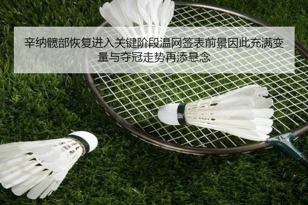 xin-na-kuan-bu-hui-fu-jin-ru-guan-jian-jie-duan-wen-wang-qian-biao-qian-jing-yin-ci-chong-man-bian-liang-yu-duo-guan-2-420.jpg